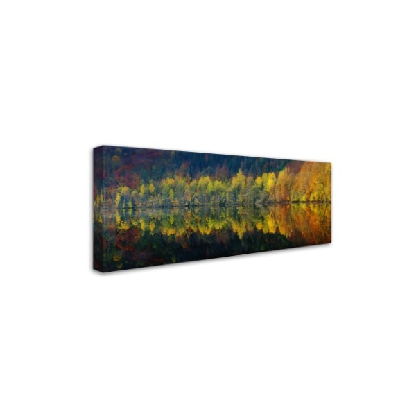 Burger Jochen 'Autumnal Silence' Canvas Art,20x47